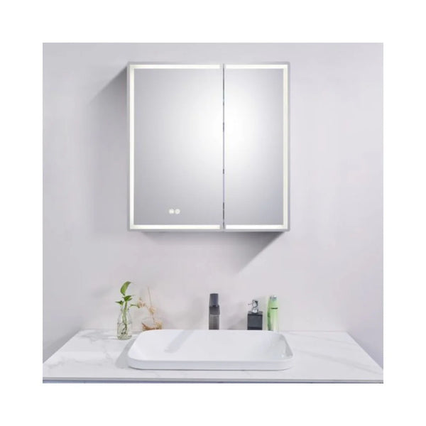 750*720*139mm Silver Brushed Rectangular LED Mirror Shaving Cabinet(Double Doors,Anti-Fogging)